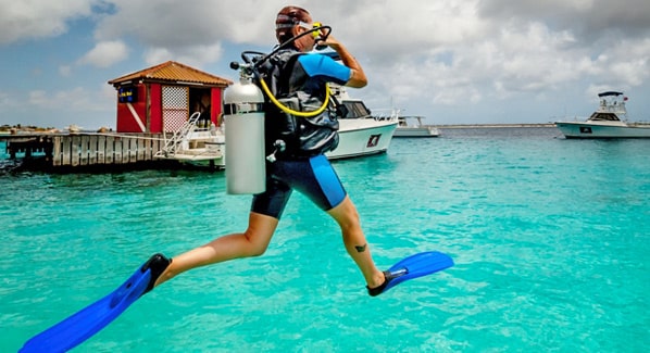 Diving Captain Dons Habitat