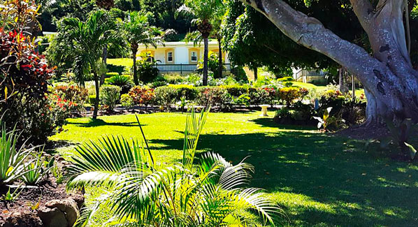 Grenada Blue Horizons