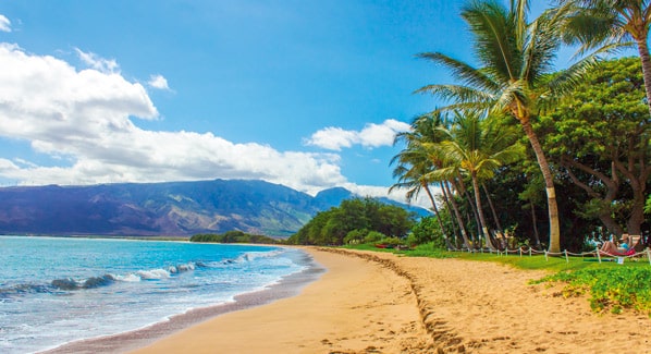 Maui Coastline