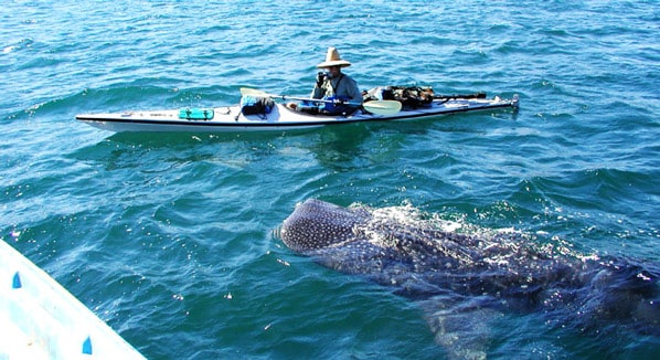 Mexico Kayaking Wahle