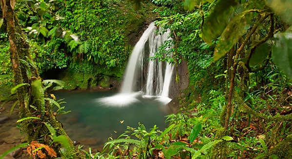Guadeloupe Waterfall