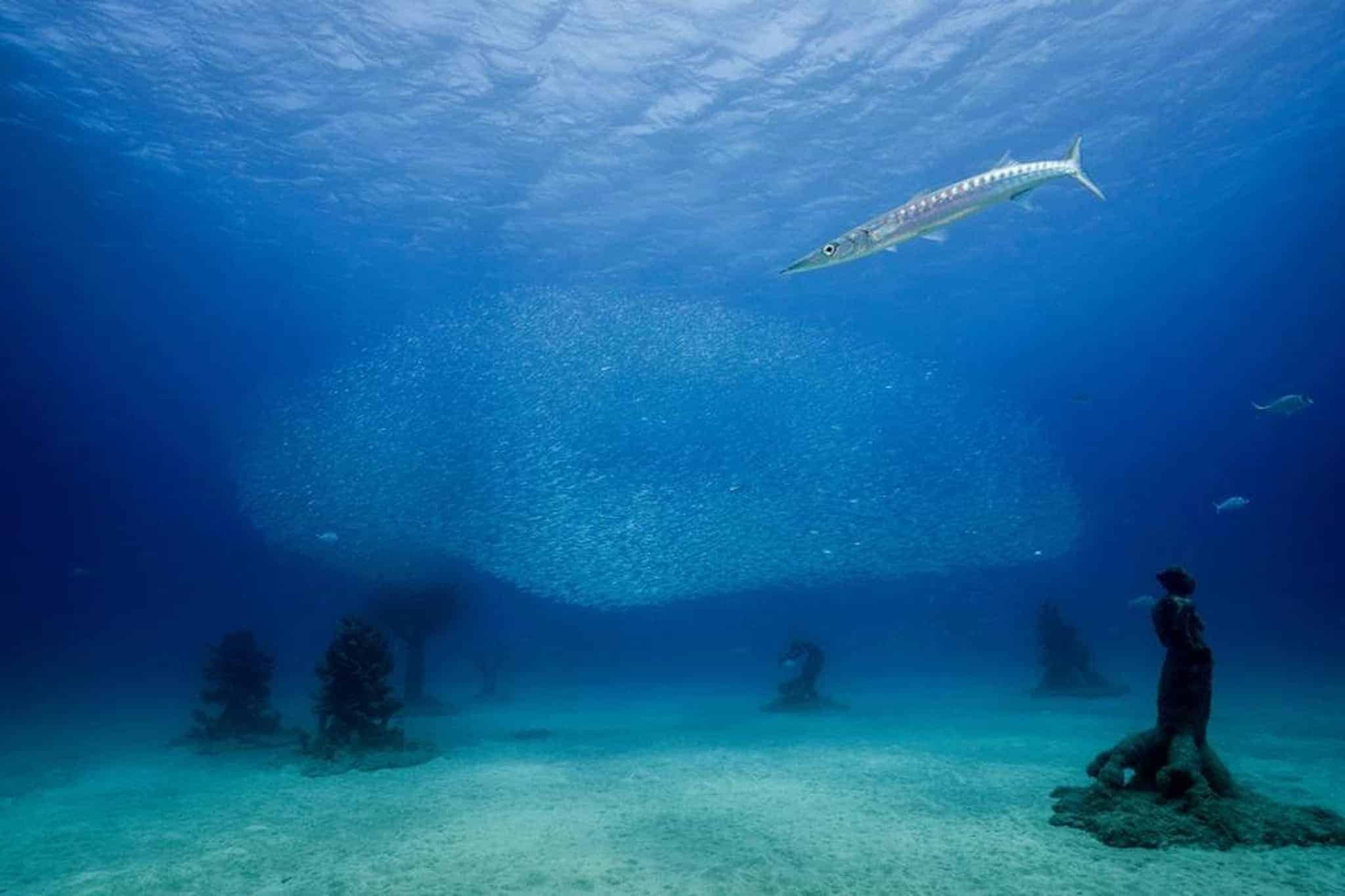 Canary Islands Museo Atlantico