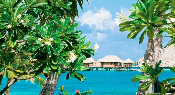 Sofitel Bora Bora