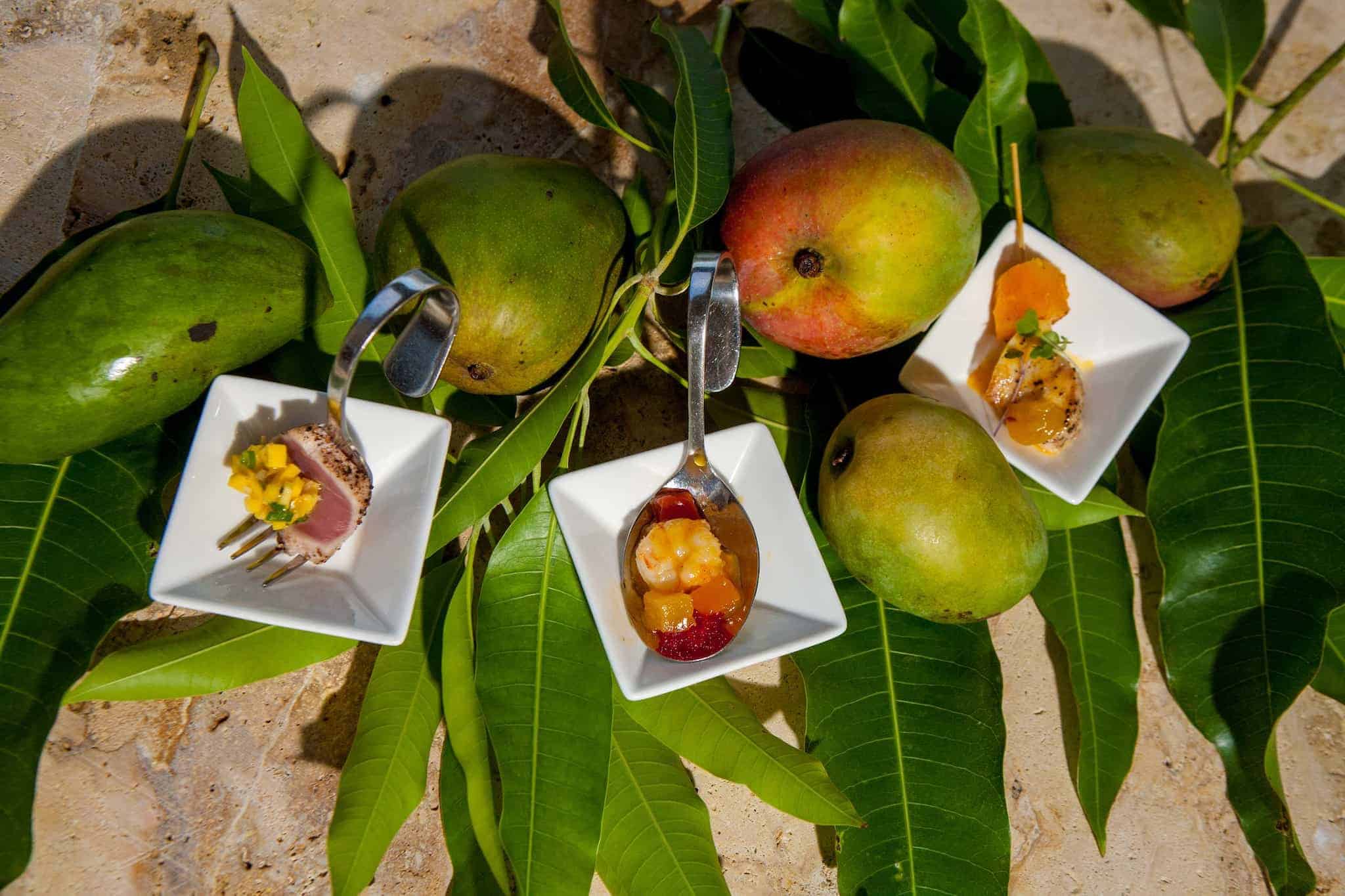 Mango St. Lucia