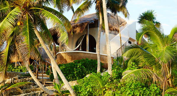 Papaya Playa