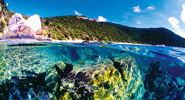 Peter Island