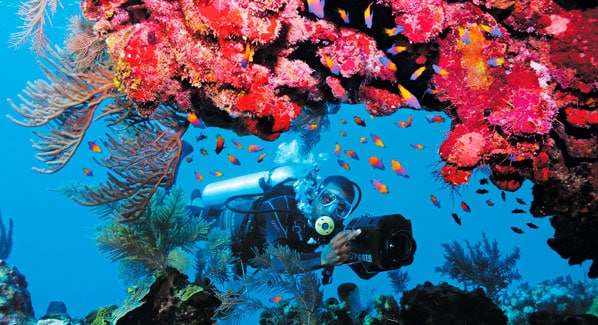 Anthonys Key Diving Roatan
