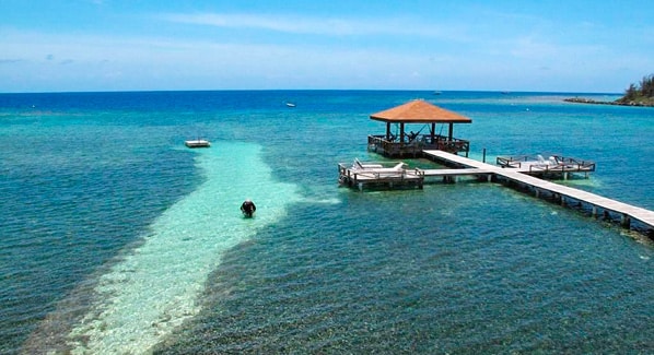 Coco View Shore Dive