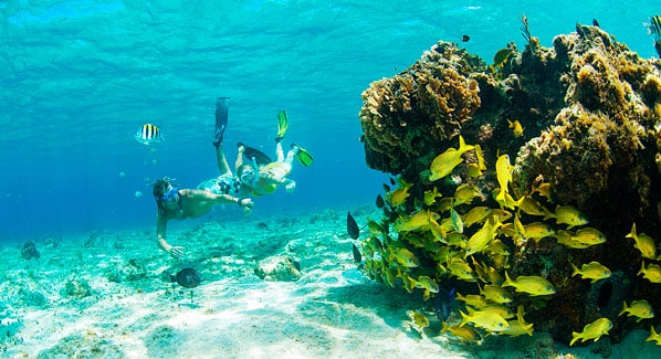 Landmark Cozumel