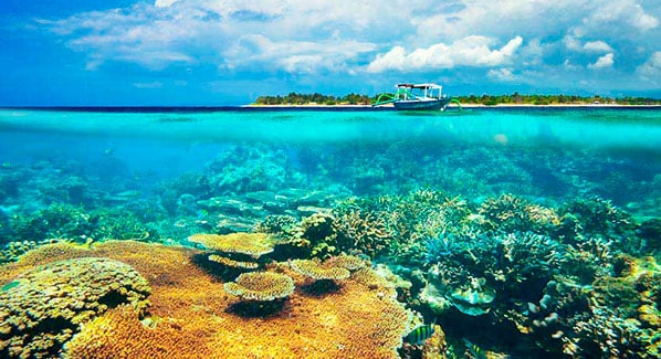 Basj Reef