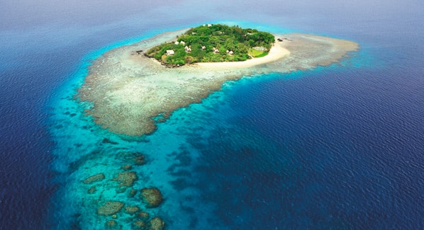 Fiji Royal Davui