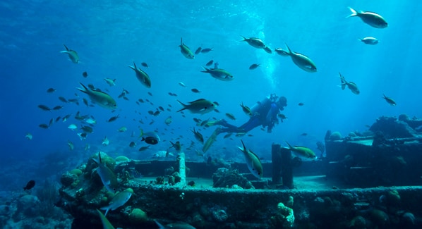Underwater Wreck Curacao