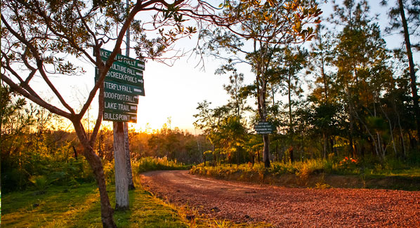Belize Hidden Valley Inn Trails