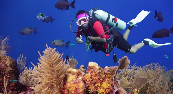 Honduras Dive Spots