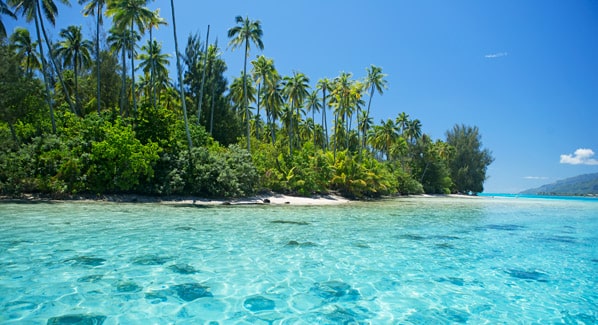 Moorea Lagoon