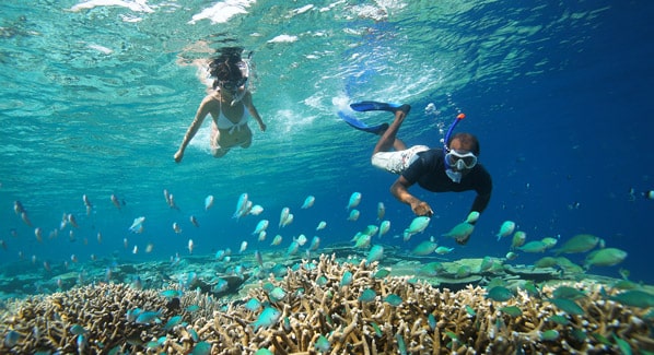 Coral Reefs Anantara