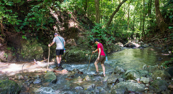 Lapa Rios Hiking
