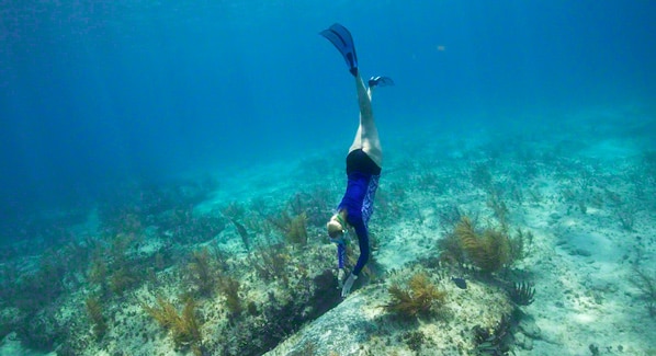 Bimini Snorkel