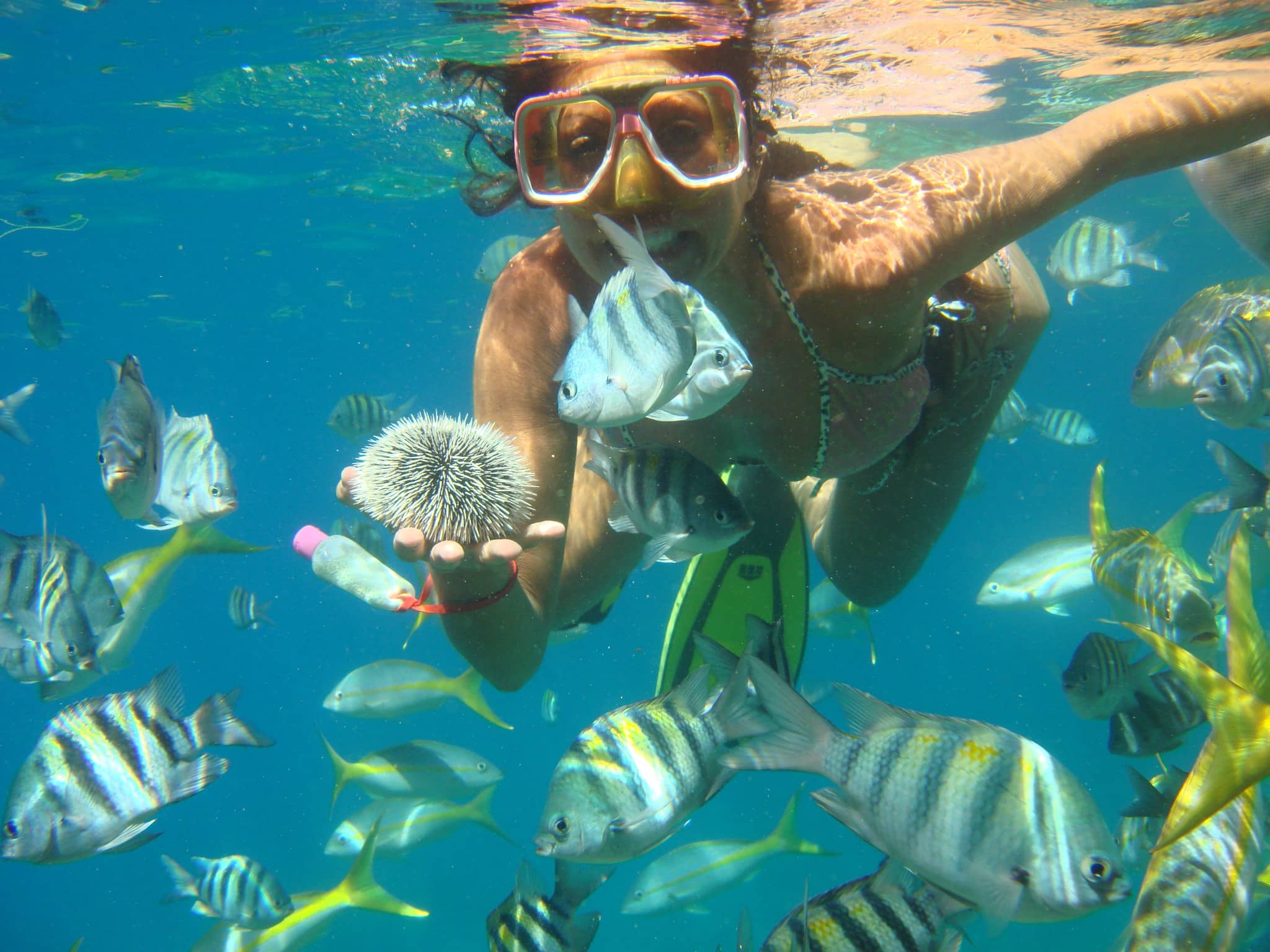 BVI Snorkel