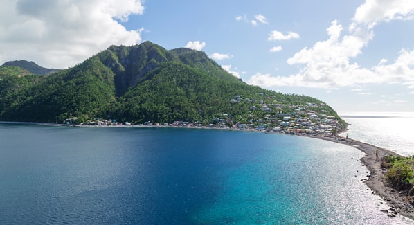 Dominica Scotts Head