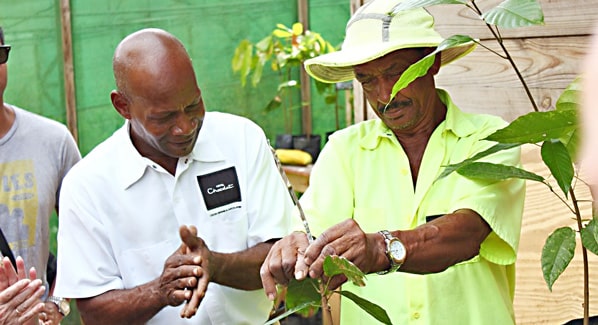 St. Lucia Boucan Hotel Chocolate Tour