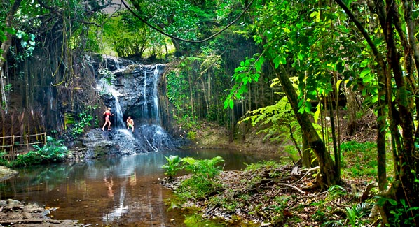 St. Lucia Waterfall