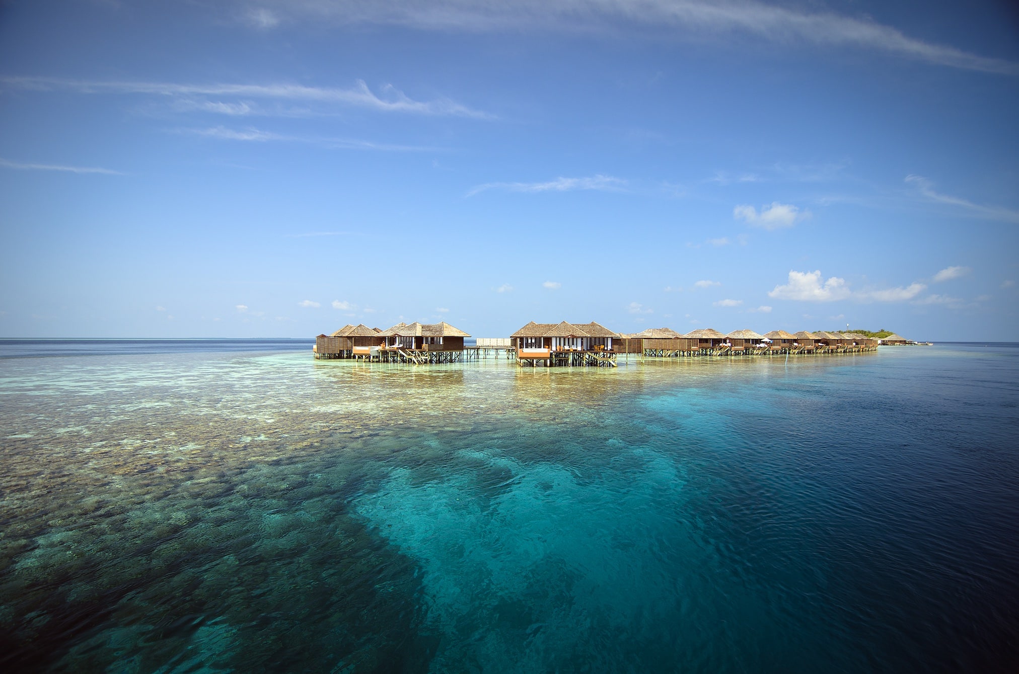 Maldives Lily Beach
