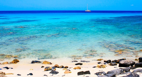 Aruba Snorkeling