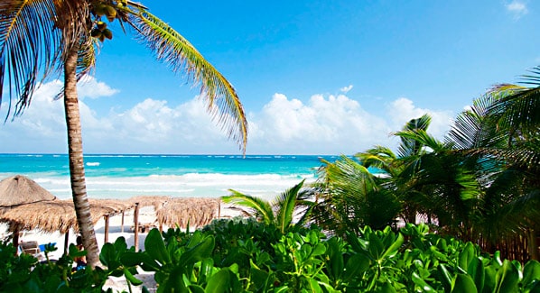 NEST Tulum Palapas