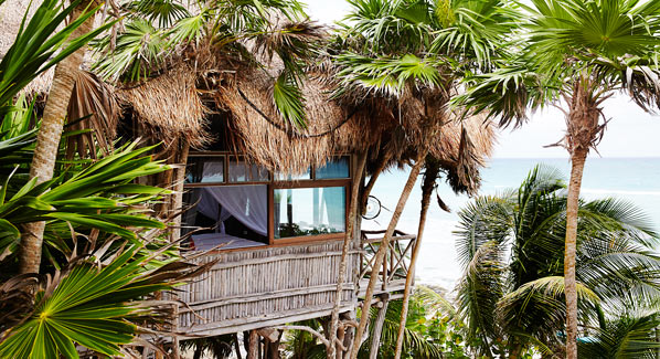 Papaya  Playa Tulum