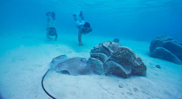 Stingray Lagoons