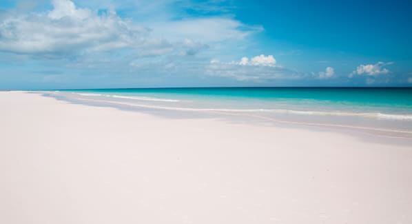 harbour island pink