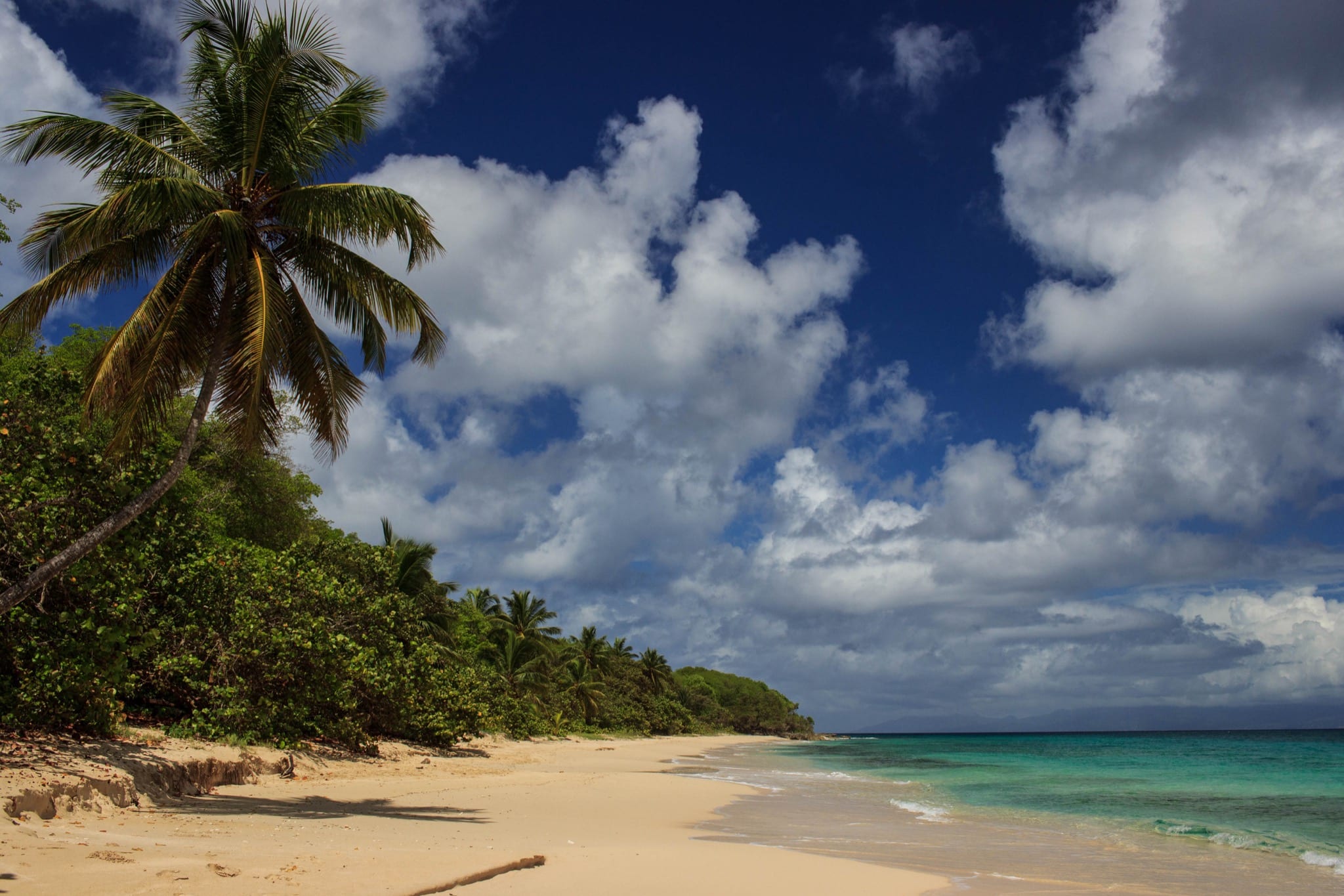 Guadeloupe Marie Galante Beach