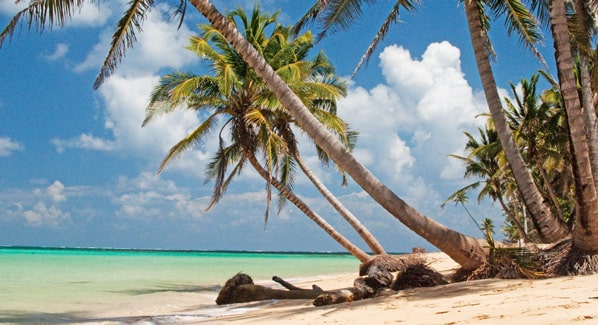 little corn island