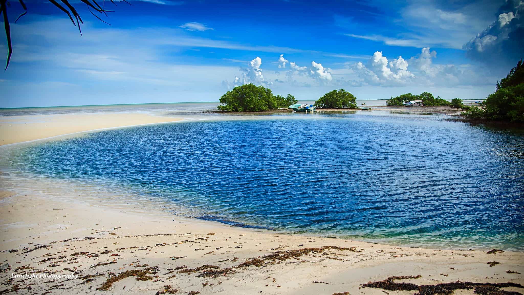 Bahamas Andros Blue Hole