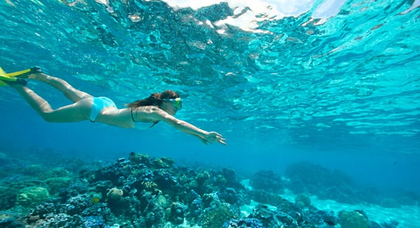Sofitel Moorea Snorkeling