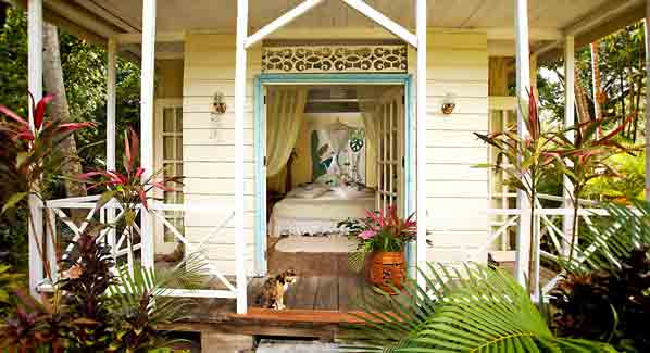 St. Lucia Balenbouche Estate Frangipani