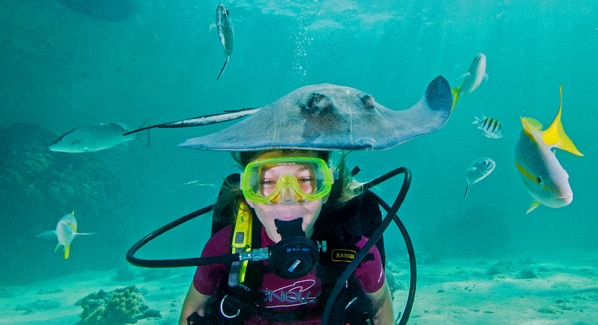 Grand Cayman Stingray