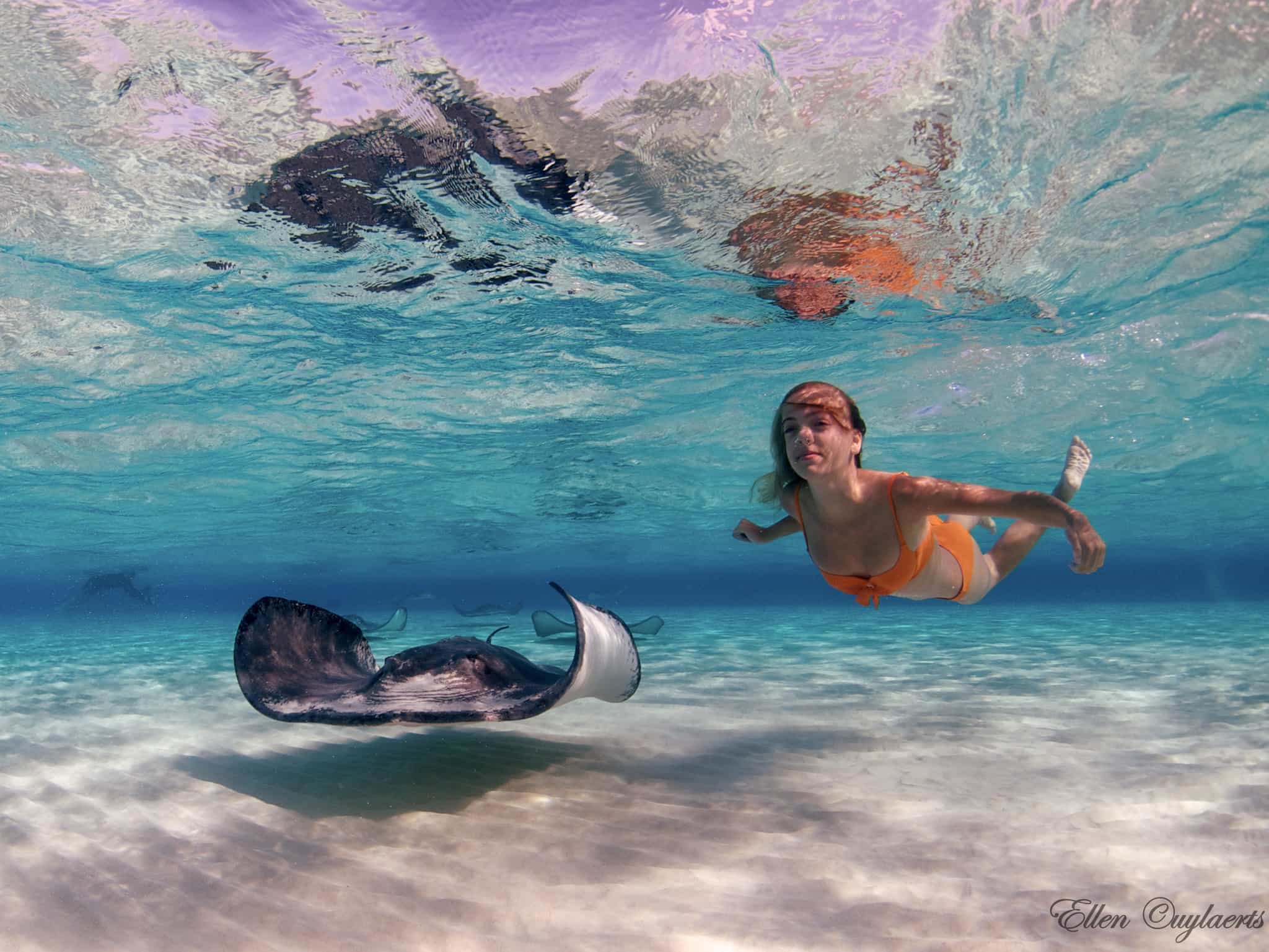 Stingray Grand Cayman