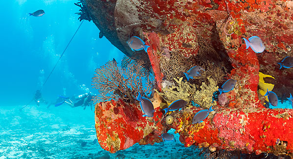 Cozumel Dive Wreck