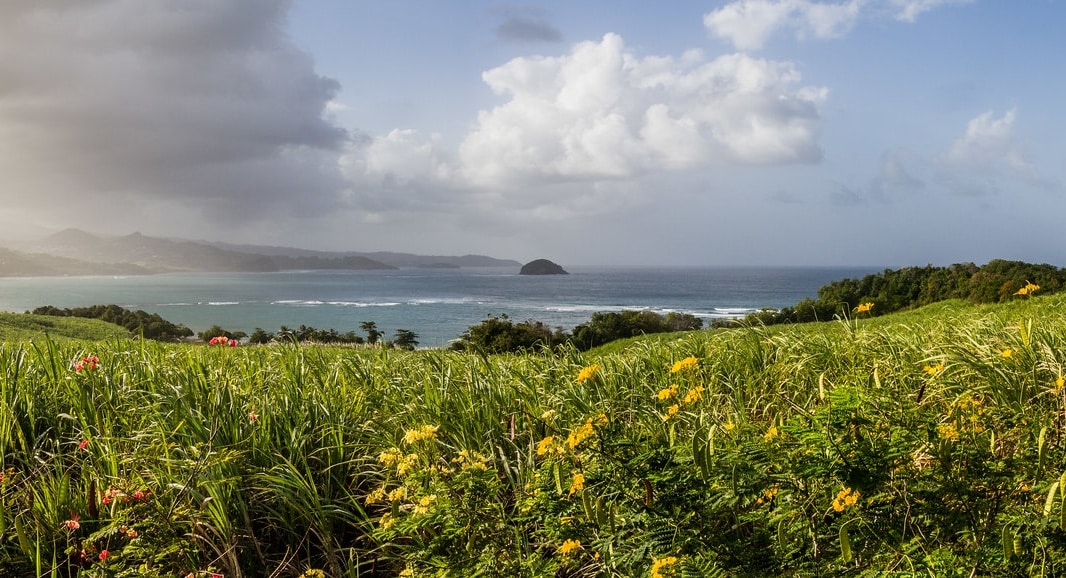Martinique Coastal Drive