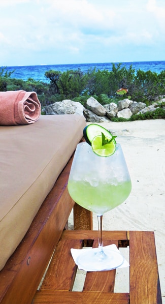 Basil Mojito