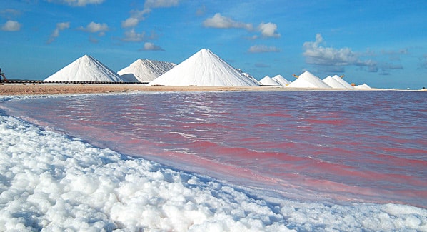 Bonaire Salt Pans