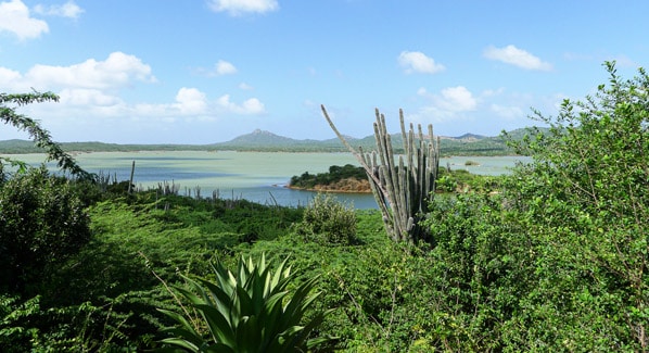 Bonaire Washington Slagbaai