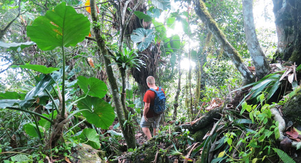 St Eustatius Hiking