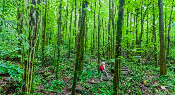 St. VIncent Nature Trail