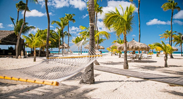 Aruba Manchebo