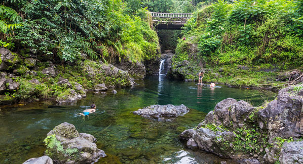 Maui Road To Hana