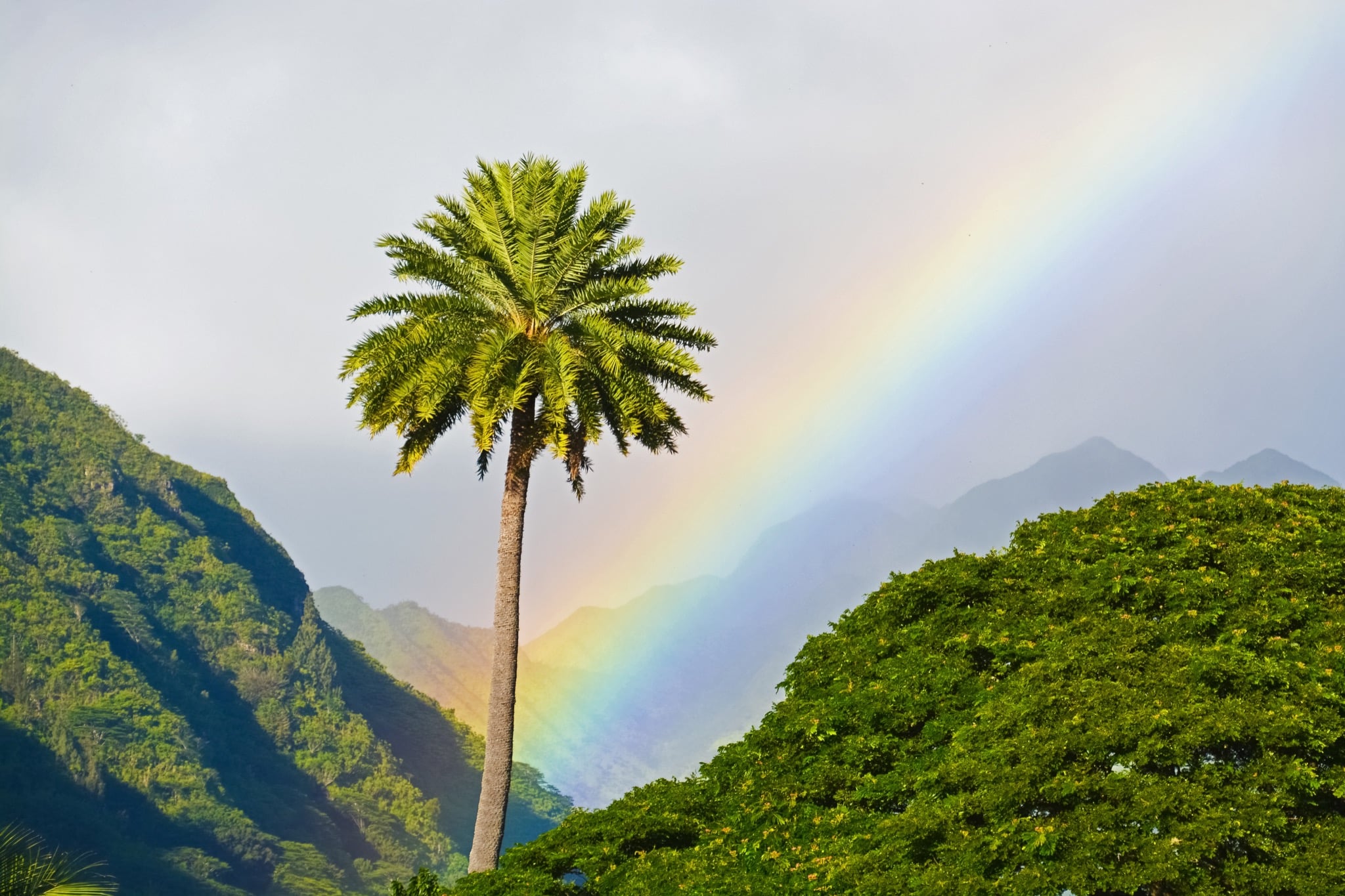 Oahu