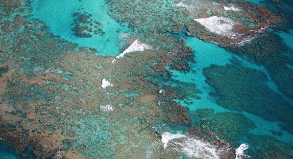 Laysan Island